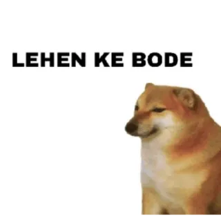 🤬 LEHEN KE BODE Anjing, Meme, Cheems, Lehen ke Bode whatsapp sticker