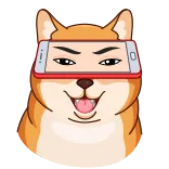 😃 doge, dog, meme, phone, funny, animal whatsapp sticker