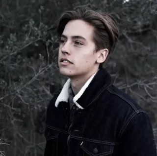 🍁 Cole Sprouse diễn viên, người nổi tiếng, chân dung, đàn ông, áo khoác, thần tượng tuổi teen telegram sticker