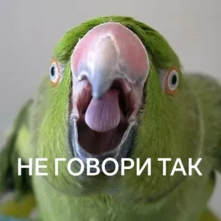 😶 НЕ ГОВОРИ ТАК นกแก้ว, นก, สีเขียว telegram sticker