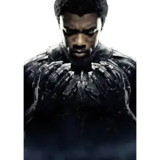 🤧 Black Panther Black Panther, Chadwick Boseman, Marvel, Super-héros, Wakanda, Personnage de film telegram sticker