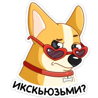 🥎 Иксъюзъми? cachorro, corgi, óculos de sol, adesivo, desenho animado telegram sticker
