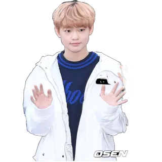👋 K-Pop K-Pop, ca sĩ, người nổi tiếng, Hàn Quốc, bé trai telegram sticker