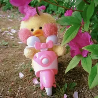 🌸 toy, duck, scooter, pink, cute whatsapp sticker