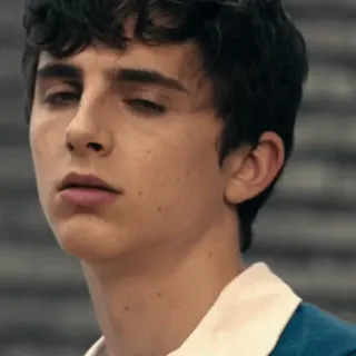 💰 Timothée Chalamet acteur, portrait, homme, célébrité telegram sticker