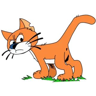 😼 แมว, การ์ตูน, โกรธ, สีส้ม, สัตว์ whatsapp sticker