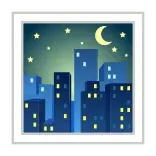 🌃