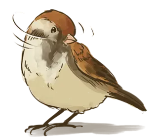 🙅 птица, воробей, животное, дикая природа, природа whatsapp sticker