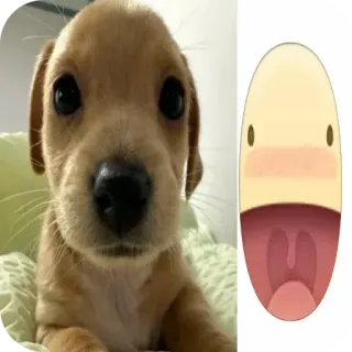 🐶 chien, chiot, mignon, animal, dessin animé telegram sticker