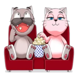 📺 猫, 映画, ポップコーン, 動物, アニメ telegram sticker