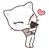 ❤️ gato, amor, lindo, abrazo, animal, corazón whatsapp sticker