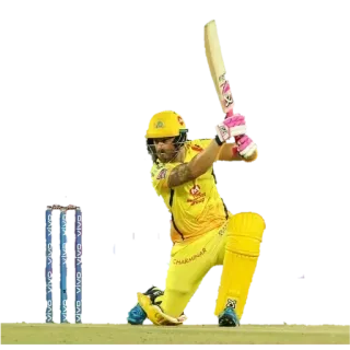 🏆 Cricket, Sport, Battitore, Indian Premier League, IPL, Chennai Super Kings telegram sticker