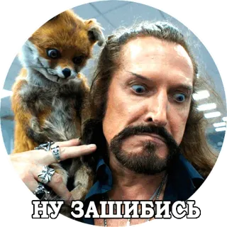 😕 НУ ЗАШИБИСЬ hombre, zorro, divertido, meme whatsapp sticker