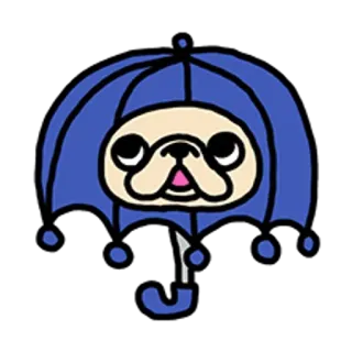 🐶 carlino, cane, ombrello, carino, cartone animato telegram sticker