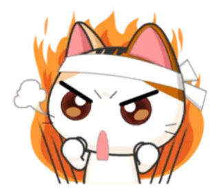 🔥 고양이, 화난, 불, 만화, 스티커, 분노, 격노 telegram sticker