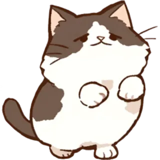 🥹 gatto, carino, animale, adesivo, animale domestico telegram sticker