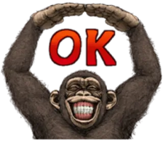 🐵 OK ok, monyet, kera, setuju, meme, lucu telegram sticker