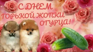 🥒 С ДНЕМ ТОРЬКОЙ ЖОПКИ ОТУРЦА! roses, dogs, cucumbers, russian text, offensive telegram sticker