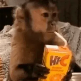 🐵 Hi-C monyet, binatang, minuman, Hi-C, jus telegram sticker