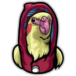 😎 새, 카카티엘, 앵무새, 후드티, 귀여운, 동물, 만화 telegram sticker