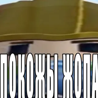 🙏 ПОХОЖЫ ЖОПА slang, russo, offensivo telegram sticker