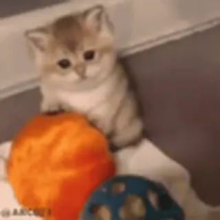 🥺