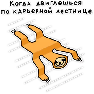 💼 Когда двигаешься по КАРЬЕРНОЙ лестнице paresseux, carrière, drôle, escalier, animal, humour, russe whatsapp sticker