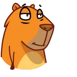Jonny Сapybara telegram stickers