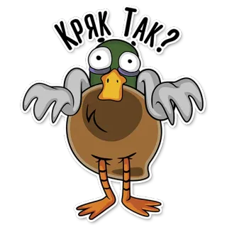 😦 Кряк Так? kaczka, kreskówka, ptak, zwierzę, pytanie, kwak kwak telegram sticker