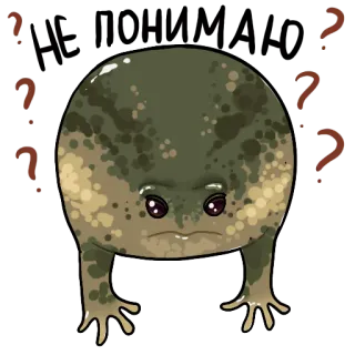 ❓ frog, sad, confused, question marks, animal, cute telegram sticker