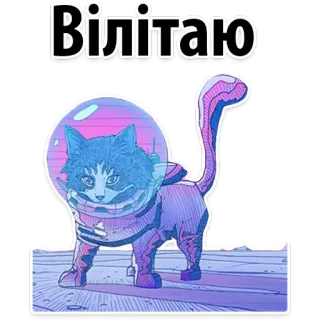 😊 Влітаю chat, espace, astronaute, animal, mignon, galaxie, animal de compagnie whatsapp sticker