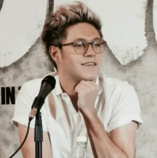 ✨ Niall Horan ไนออล ฮอแรน, นักร้อง, นักดนตรี, คนดัง, ภาพเหมือน, แว่นตา telegram sticker