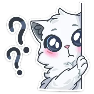 ❓ cat, question mark, sticker, cute, confused, white cat, unsure telegram sticker