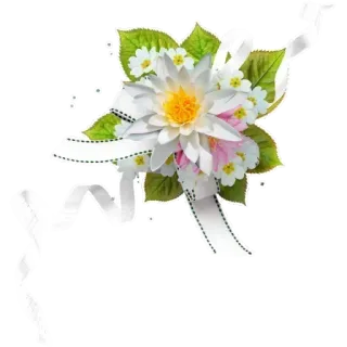 🌷 ดอกไม้, ลายดอก, ช่อดอกไม้, ตกแต่ง, สีขาว, ใบไม้ telegram sticker