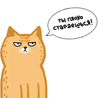 😒 ТЫ ПЛОХО СТАРАЕШЬСЯ! gatto, animale, adesivo, divertente, carino, espressione telegram sticker