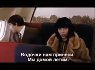 🥃 Водочки нам принеси. Мы домой летим. avião, vodka, viagem, russo, filme telegram sticker