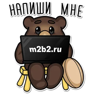 ✍️ НАПИШИ МНЕ orso, laptop, sedia, cartone animato, testo, m2b2.ru, sito web whatsapp sticker