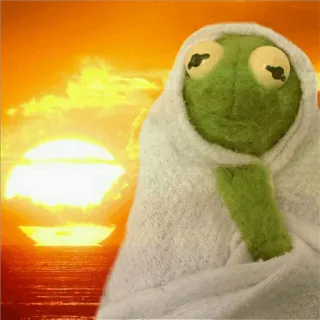 🐸 Kermit Kermit o Sapo, Meme, Fantoche, Pôr do sol, Toalha, Relaxante whatsapp sticker