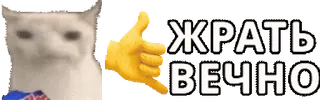 🤙 ЖРАТЬ ВЕЧНО แมว, มีม, รัสเซีย, อาหาร, กิน telegram sticker