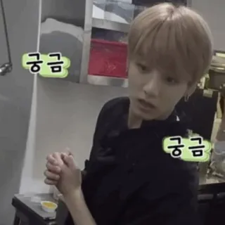 🎋 궁금 korean, text, curious, question, wonder telegram sticker