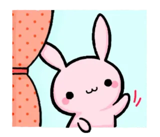 😃 lapin, mignon, animal, dessin animé, kawaii whatsapp sticker