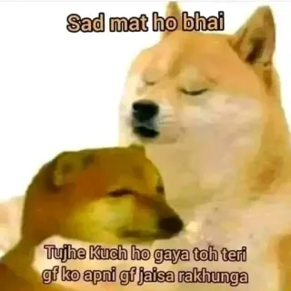 🌟 Doge Sad mat ho bhai, Tujhe Kuch ho gaya toh teri gf ko apni gf jaisa rakhunga doge, cheems, meme, consolation, humor, dog, funny telegram sticker