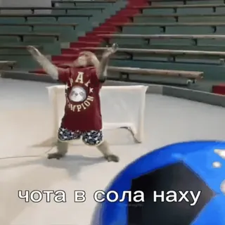 ☹️ чота в сола наху monkey, russian, slang, offensive telegram sticker