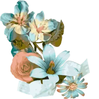 🌹 цветок, цветы, природа, букет, роза, цветение, растение telegram sticker