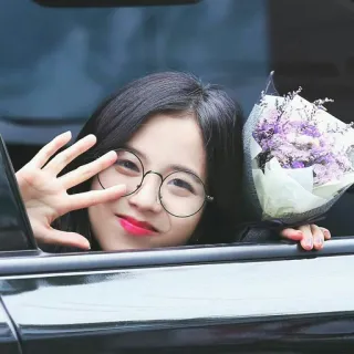 ❣ girl, flowers, waving, car, glasses, smile telegram sticker