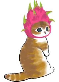 🐉 cat, animal, fruit, dragonfruit, cute telegram sticker