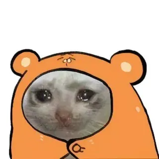 🥲 chat, pleurer, triste, ours, sweat à capuche, mignon telegram sticker