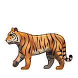 Adaptive cat aesthetics @MissLWrec @TgEmodziBot telegram emojis 🐅