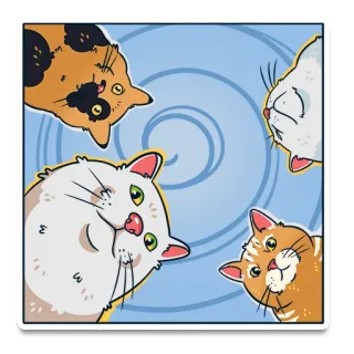 😕 cat, cats, kitten, kittens, cute, adorable, animals whatsapp sticker