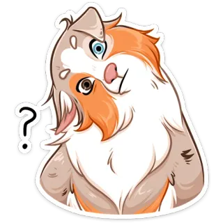 ⏺ кот, вопрос, в замешательстве, любопытный, питомец, животное telegram sticker